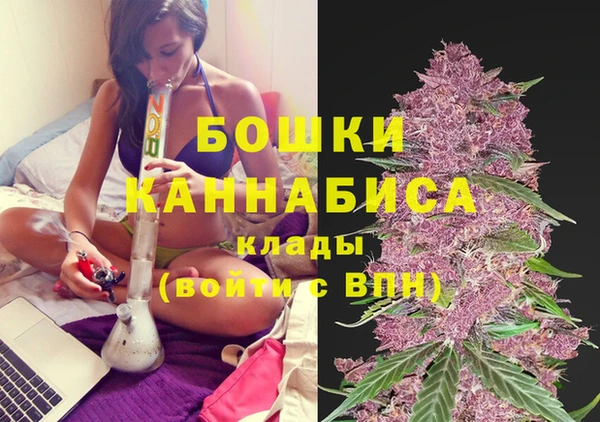 a pvp Алзамай