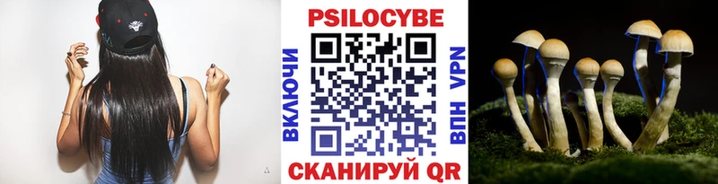 Галлюциногенные грибы Psilocybe  кракен вход  Приморск 